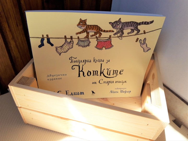 Илюстровани книги за&nbsp;възрастни